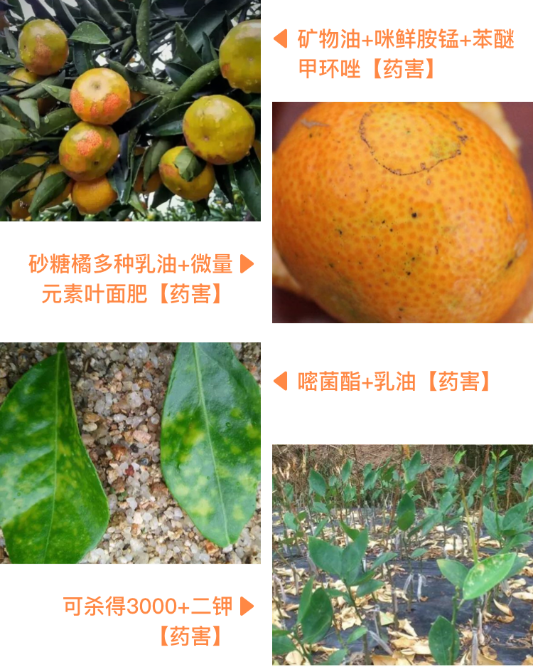 微信图片_20190717172828.png